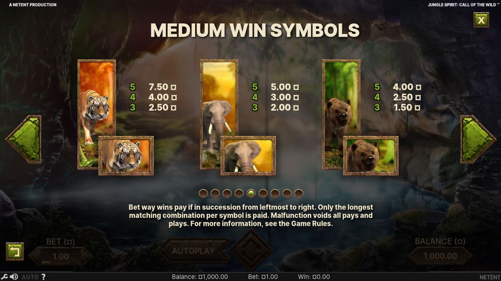 High-tier symbol payouts, shown as multipliers of the bet