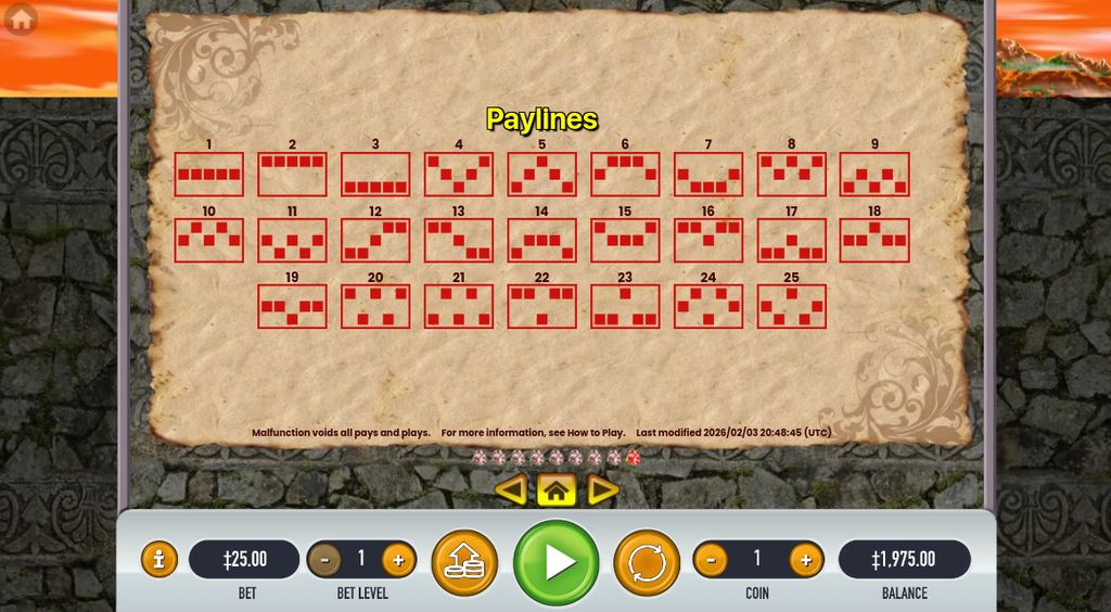 All 25 fixed paylines used by The Dragon Castle slot.