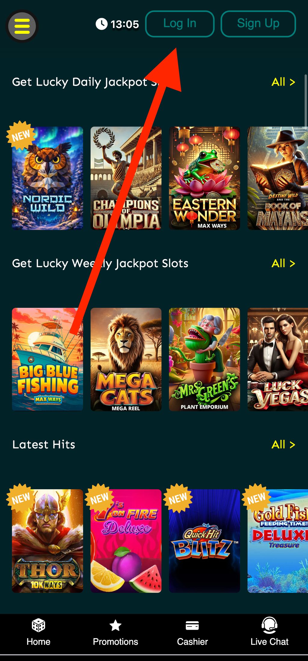 Login button at ZARbet website
