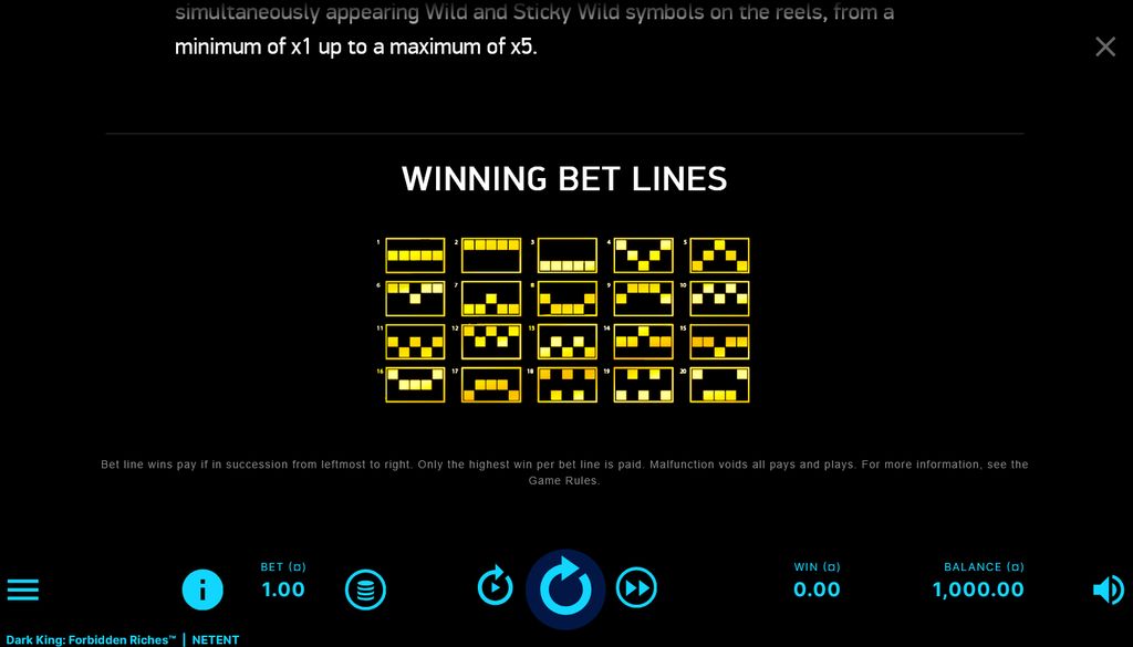 All 20 fixed paylines used for win evaluation