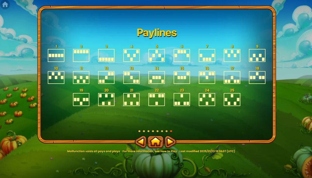 All 25 fixed paylines in Pumpkin Patch