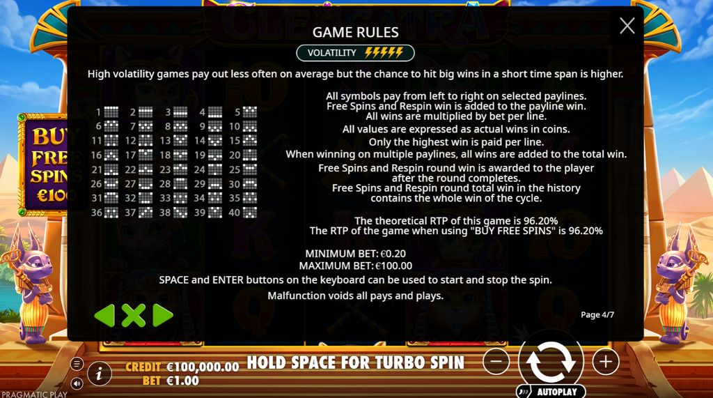 All 40 paylines and game rules overview