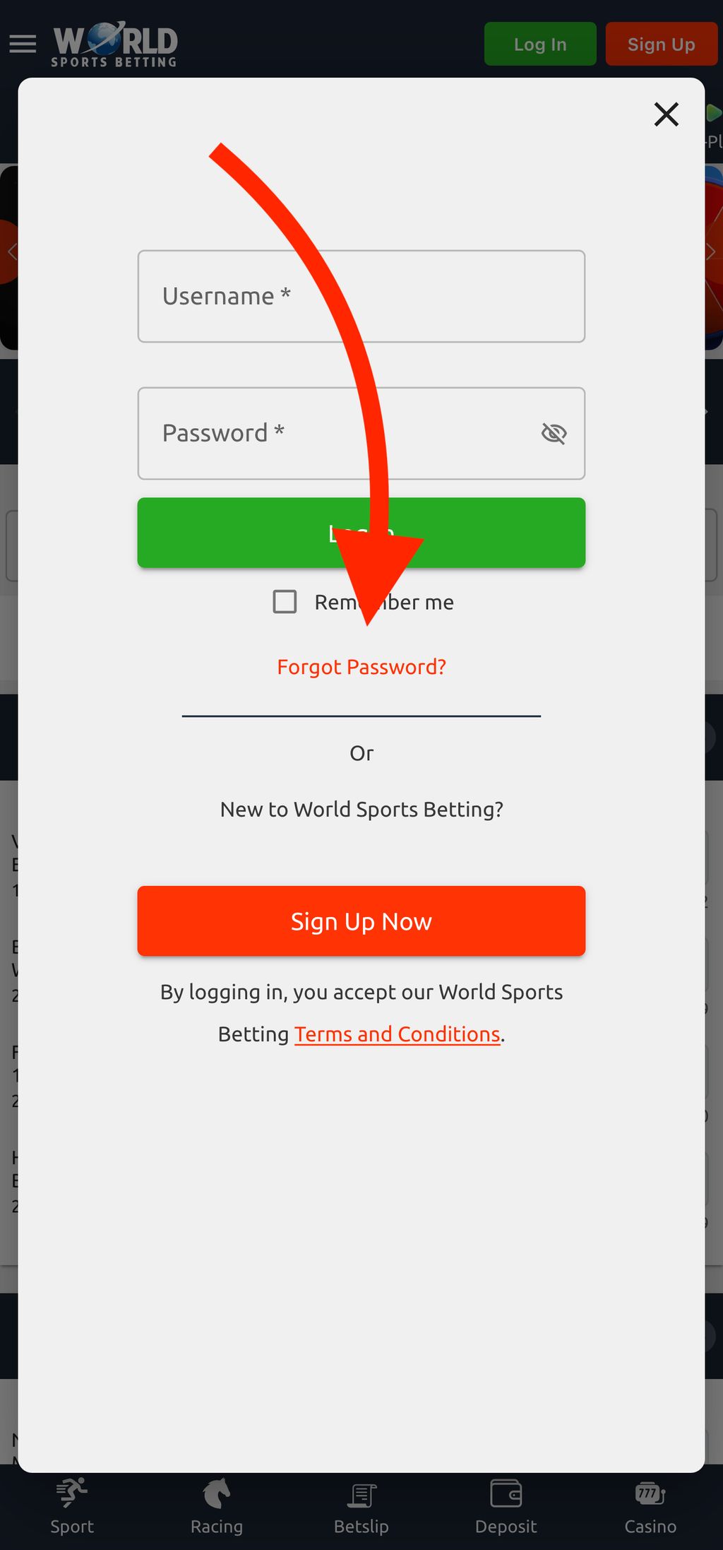 Password recovery at WSB