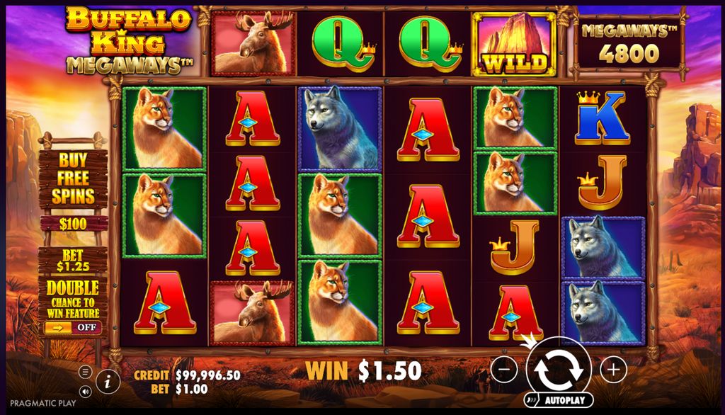 Buffalo King Megaways base game interface and reels layout.