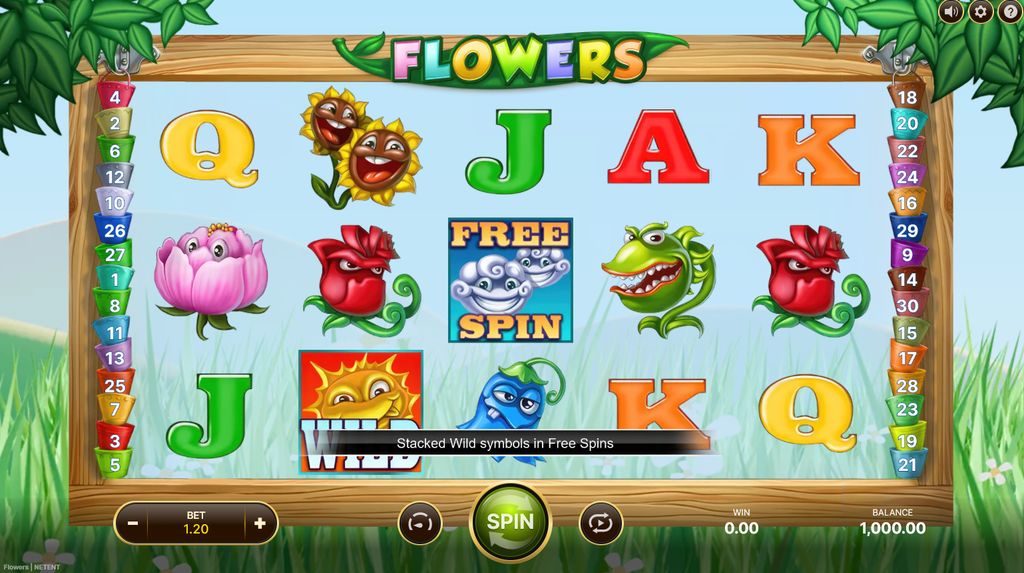 Flowers slot — main game interface with 30 fixed bet lines