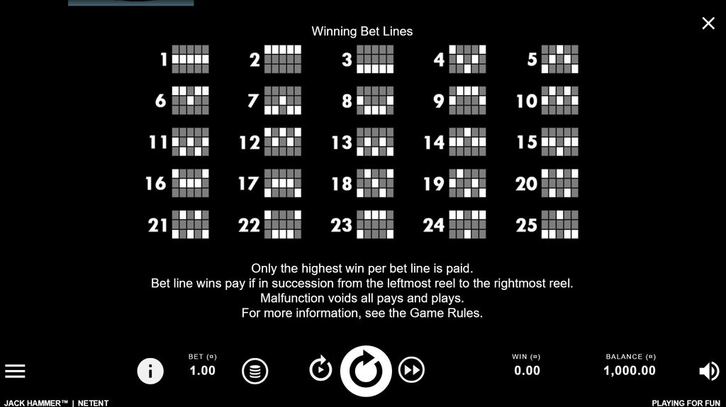The 25 fixed winning bet lines and the left-to-right rule