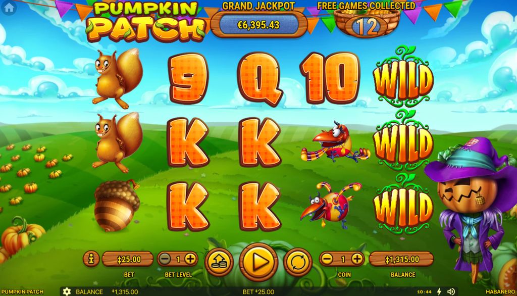 Pumpkin Patch