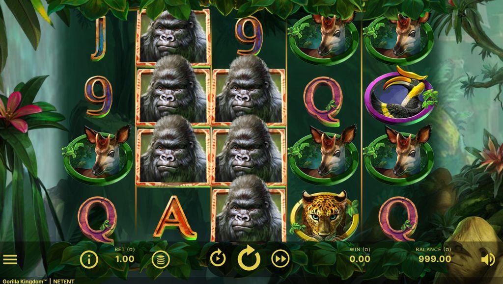 Gorilla Kingdom